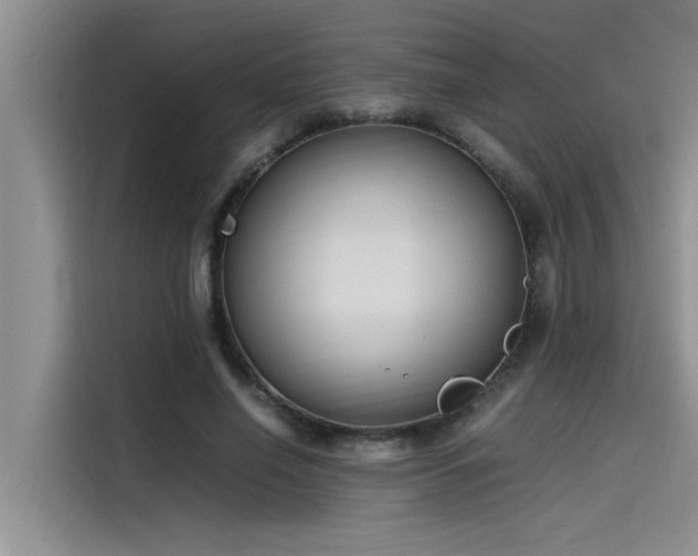 X0000115500638200911131322