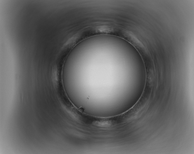 X0000115500639200911131322
