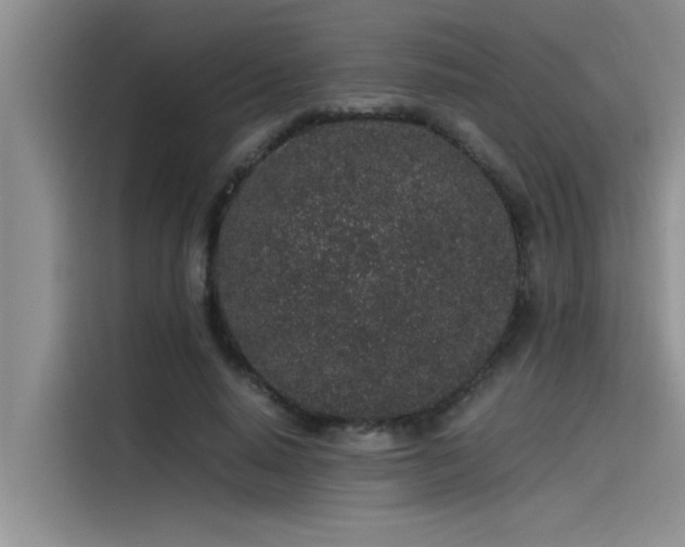 X0000115500640200911131322
