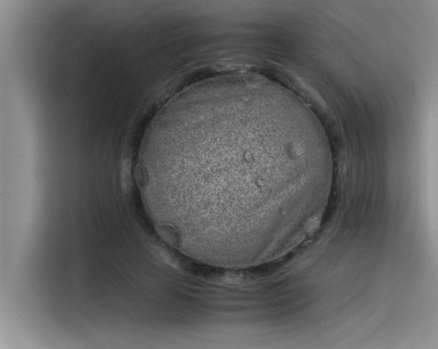 X0000115500641200911131322