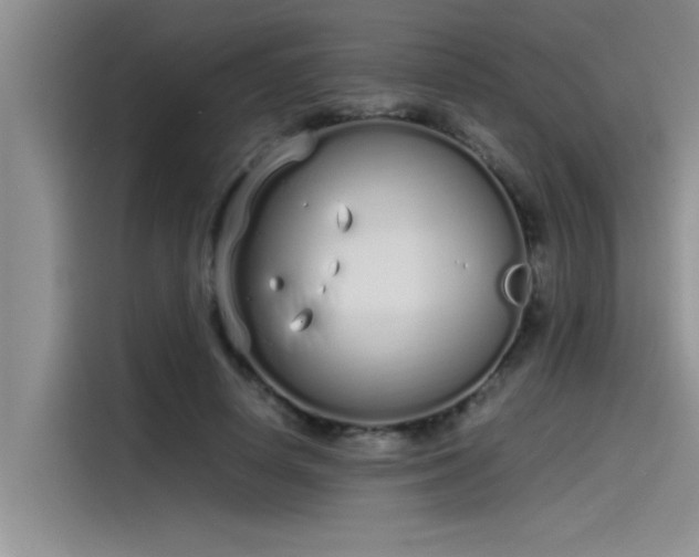 X0000115500642200911131322