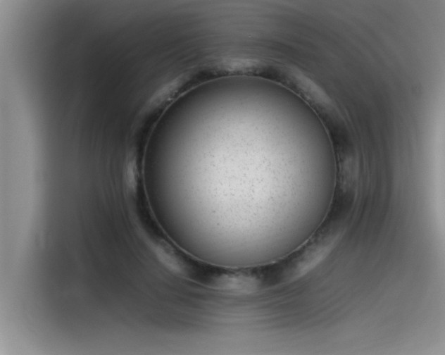 X0000115500644200911131322