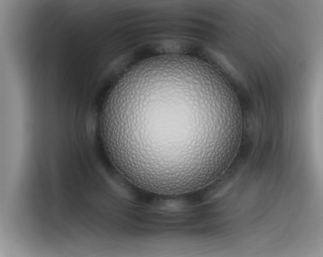 X0000115500645200911131322