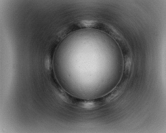 X0000115500651200911131322