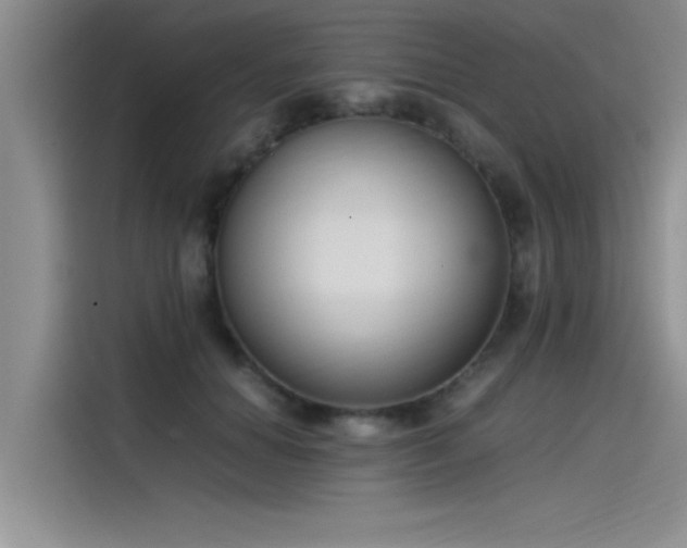 X0000115500654200911131322