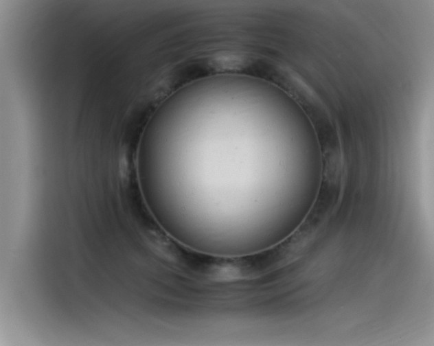 X0000115500655200911131322