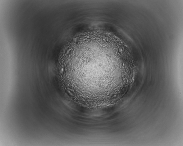 X0000115500659200911131322