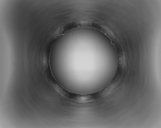 X0000115500662200911131322