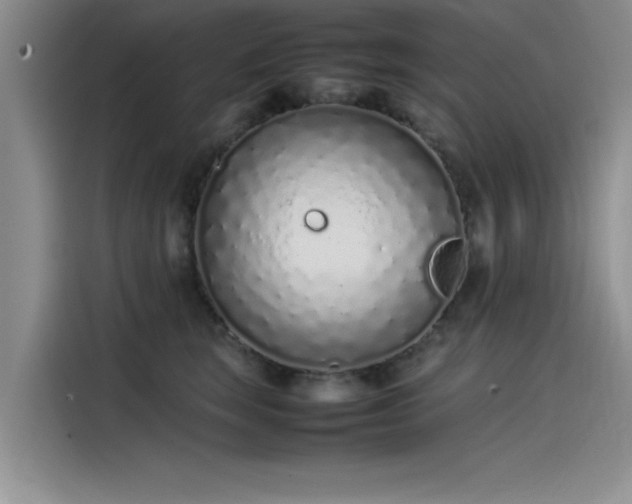 X0000115500663200911131322