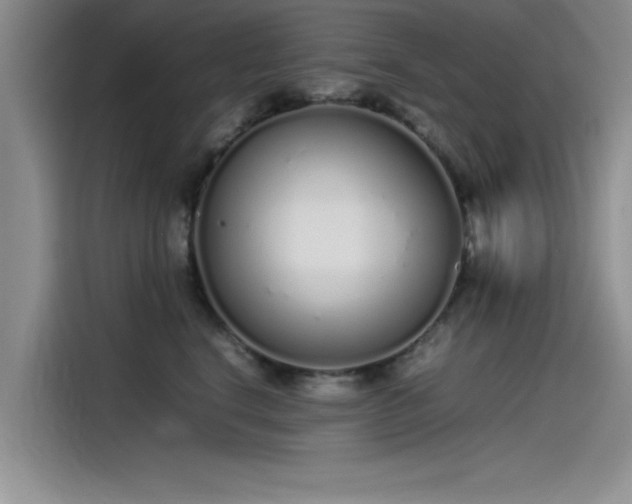 X0000115500664200911131322