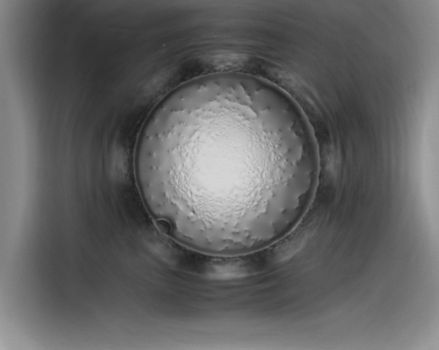 X0000115500667200911131322