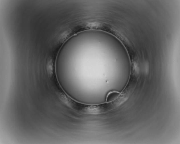 X0000115500668200911131322
