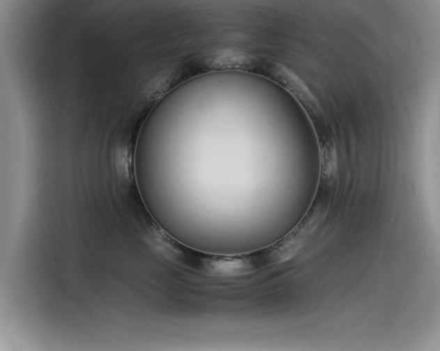 X0000115500669200911131322