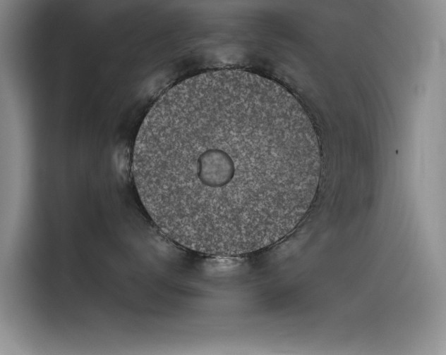 X0000115500672200911131322
