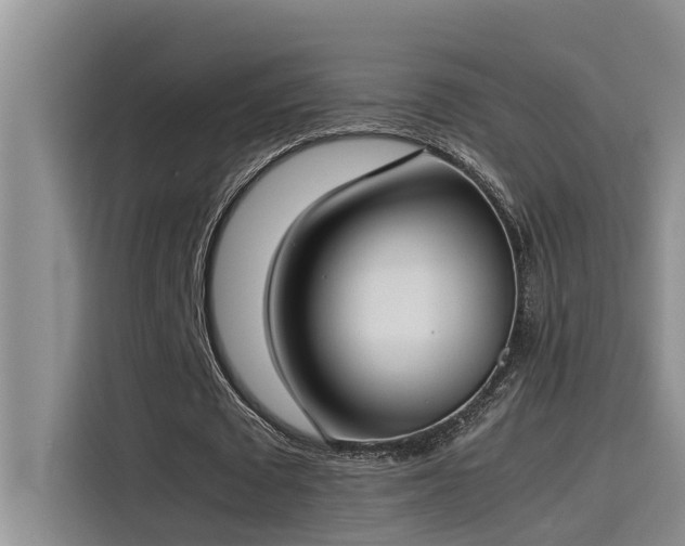 X0000115500673200911131321