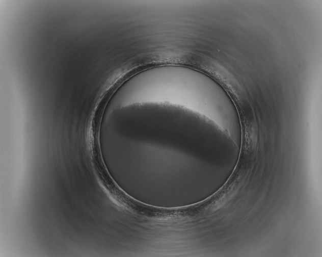 X0000115500674200911131321