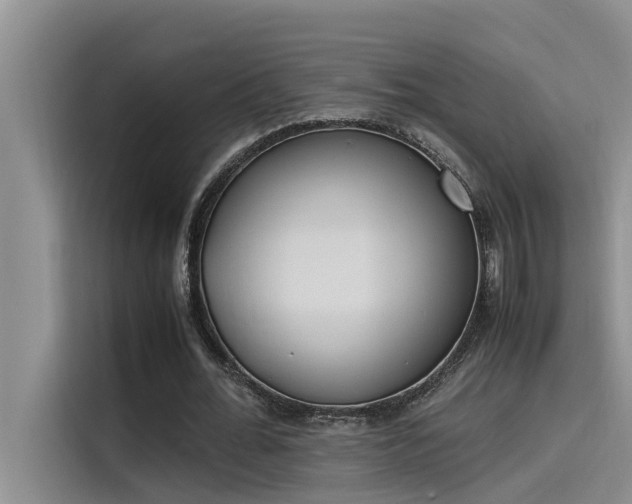 X0000115500676200911131321