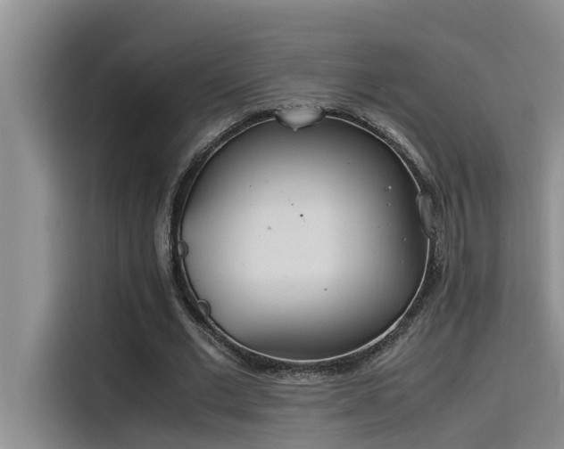 X0000115500677200911131321