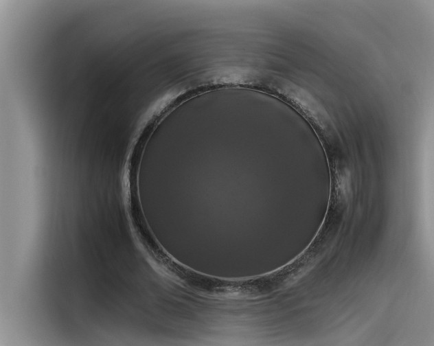 X0000115500678200911131321