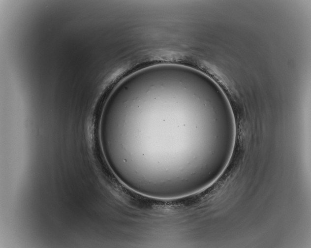X0000115500679200911131321