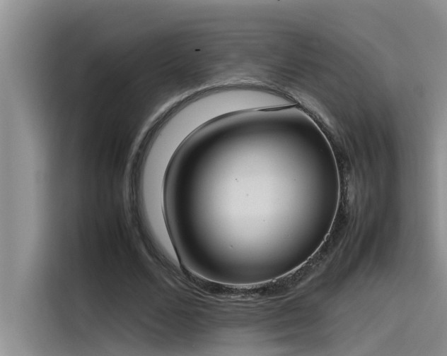 X0000115500680200911131321