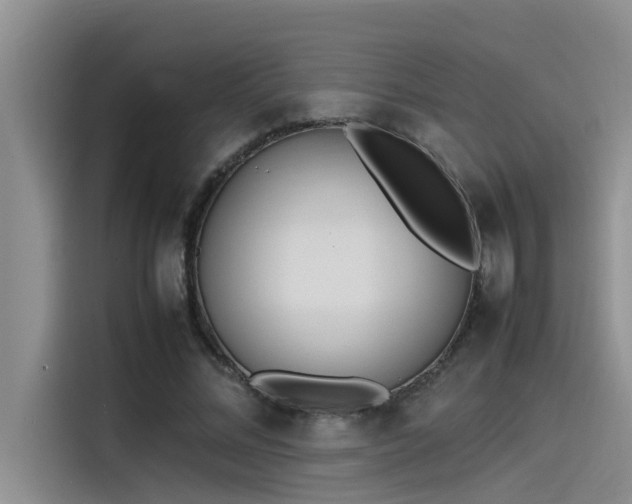 X0000115500684200911131321