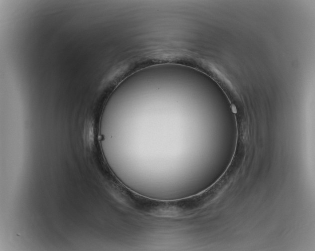 X0000115500685200911131321