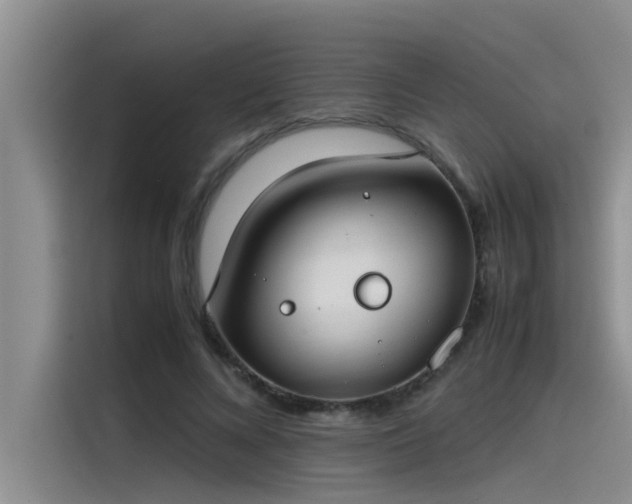 X0000115500688200911131321