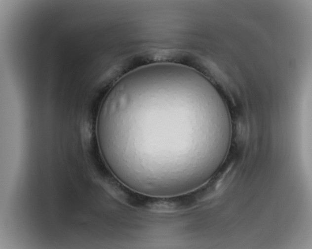 X0000115500691200911131321