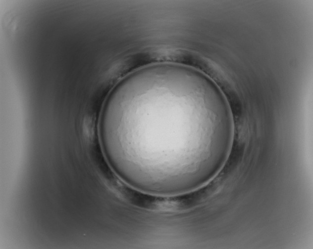 X0000115500695200911131321