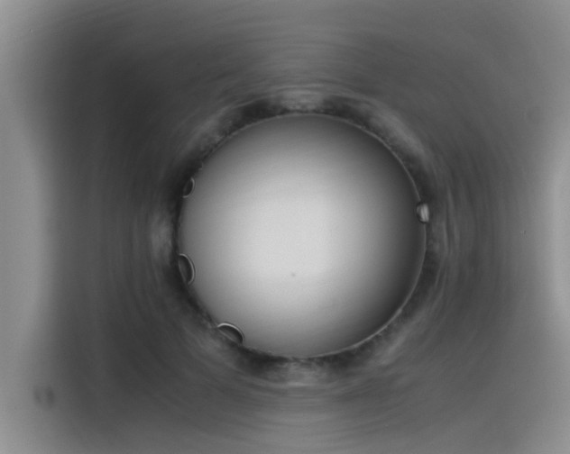 X0000115500697200911131321