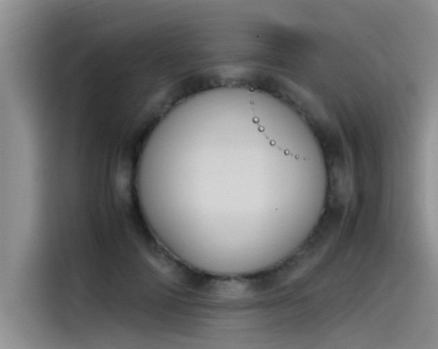 X0000115500698200911131321