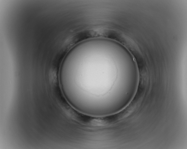 X0000115500699200911131321