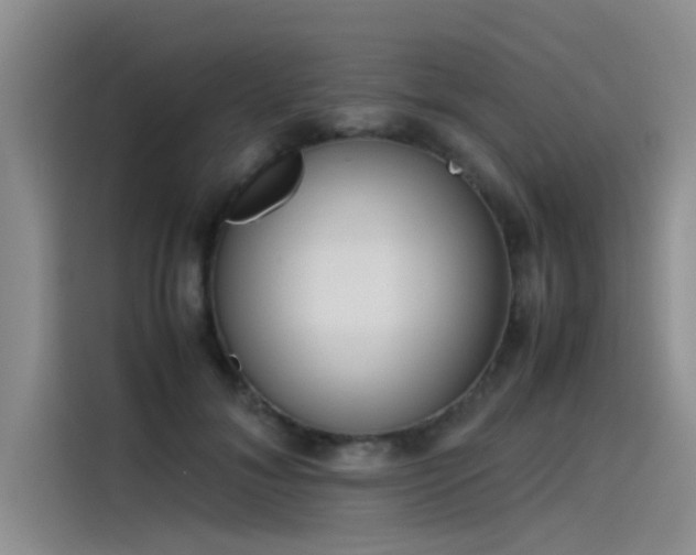 X0000115500700200911131321