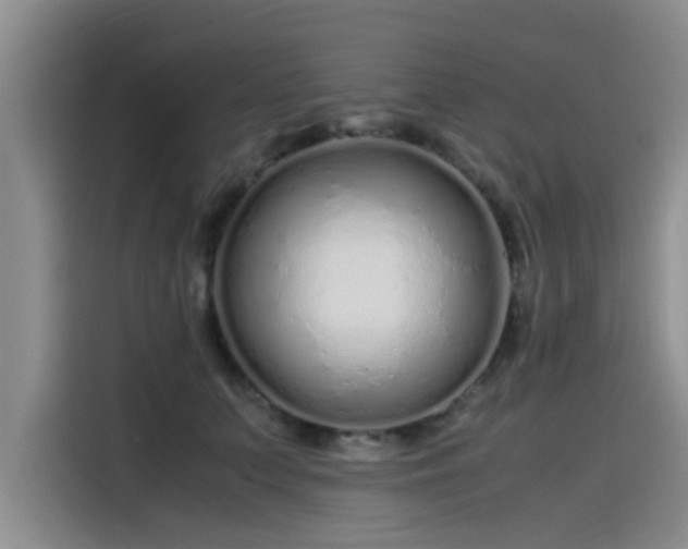 X0000115500703200911131321