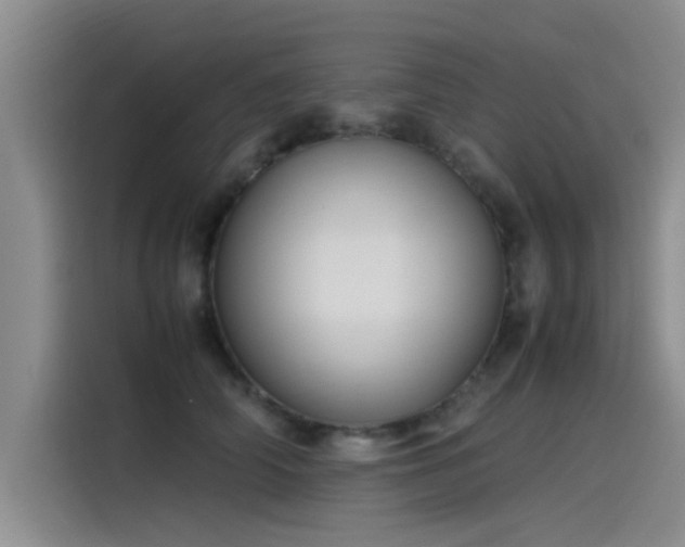 X0000115500706200911131321