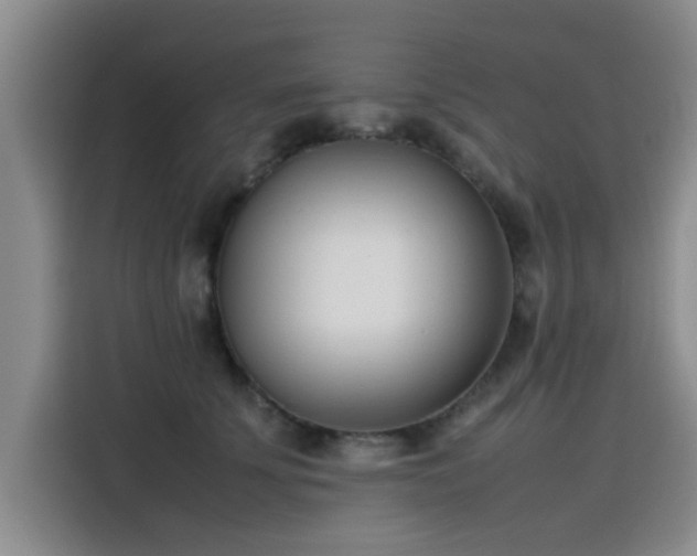 X0000115500707200911131321