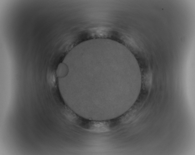 X0000115500709200911131321