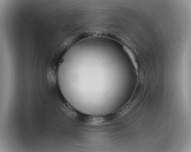 X0000115500719200911131321