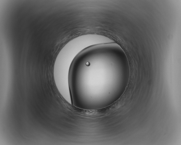 X0000115500720200911131321