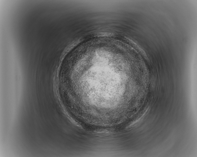 X0000115500721200911131320