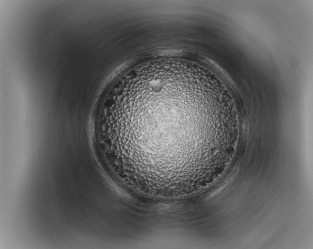 X0000115500725200911131320