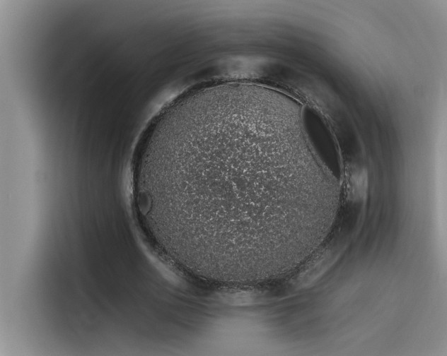 X0000115500726200911131320