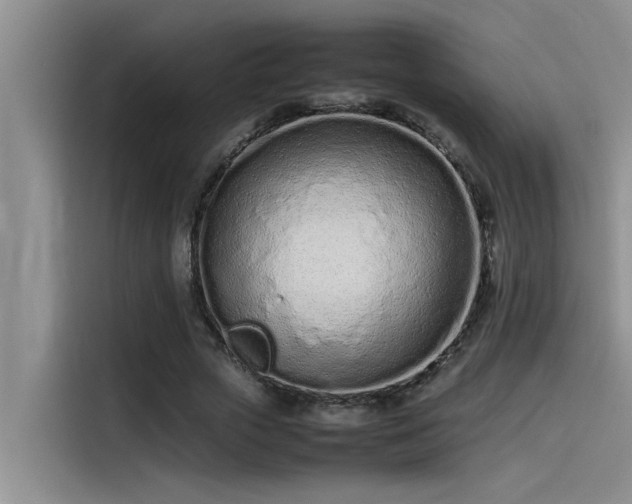 X0000115500729200911131320