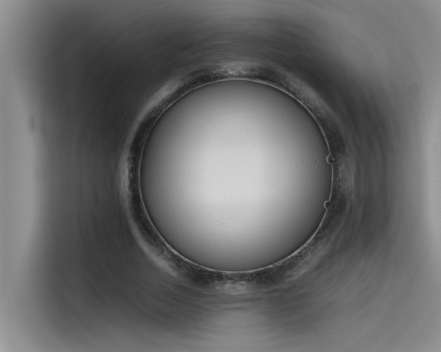 X0000115500730200911131320