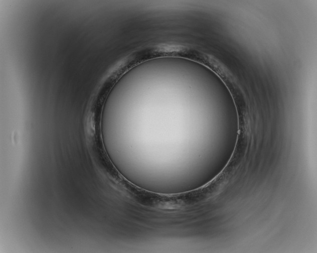 X0000115500731200911131320