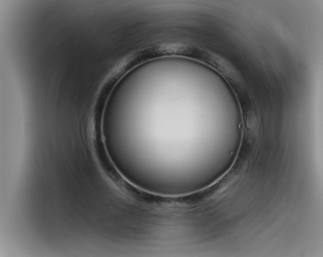 X0000115500734200911131320