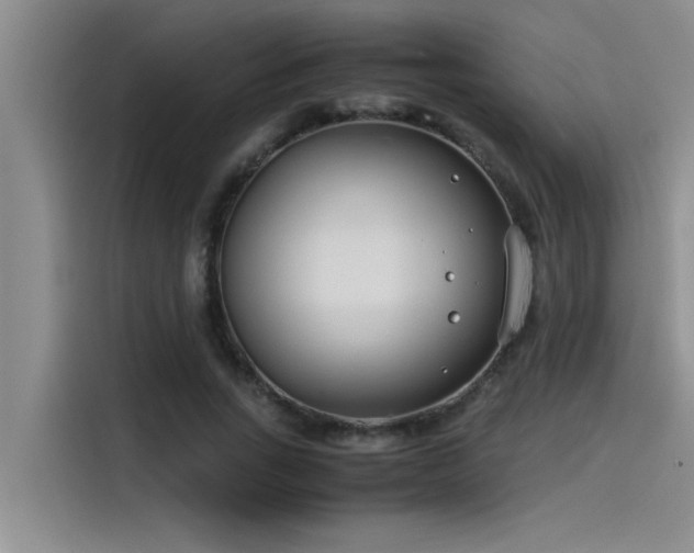 X0000115500735200911131320