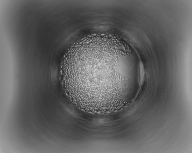 X0000115500745200911131320