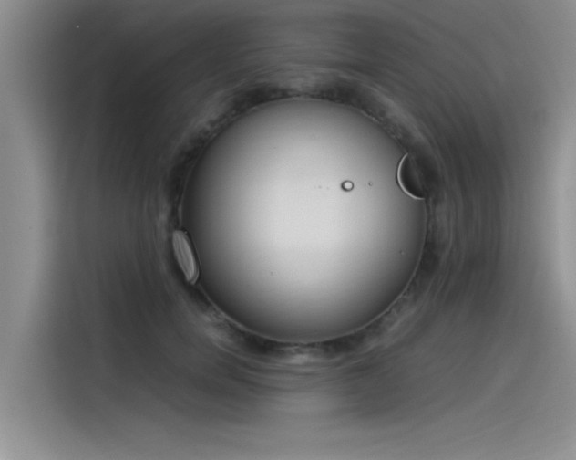 X0000115500750200911131321